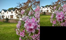 Creacon Wellness Retreat