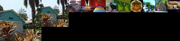 Casa Celeste Del Golfo Dulce