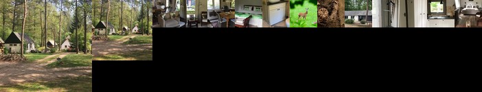 Landgoed Driebelterveld