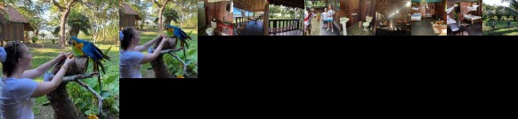 Green Diamond Amazon Lodge