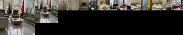 Kentpark Premium Business Hotel