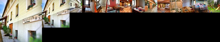 Guesthouse Pegas Depoltovice