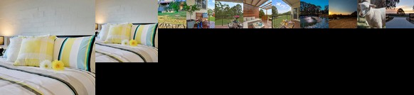 Blueberry Hills On Comleroy