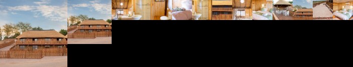 Kalahari Lion's Rest