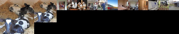 Bed and Breakfast De Volkelse Hooiberg