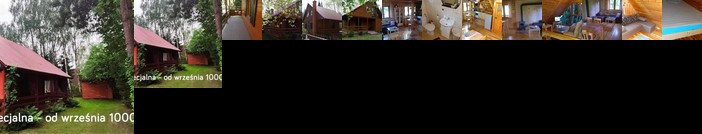 Domek Letniskowy Pod Brzozami