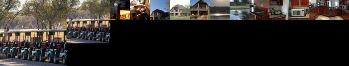 African Skies 164 Zebula