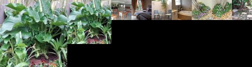 Jenvey House Selfcatering Apartments