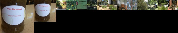 Terania Creek Farmstay