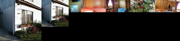 Cabanas Los Avellanos Valdivia