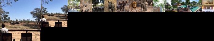 Senalala Safari Lodge