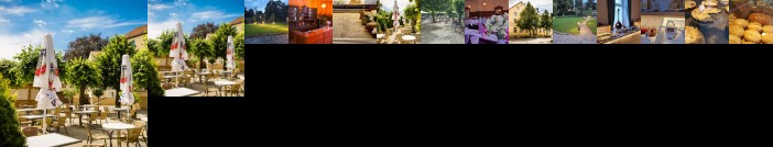 Parkhotel Senftenberg