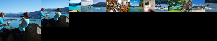 Hotel-Gasthof Seerosl