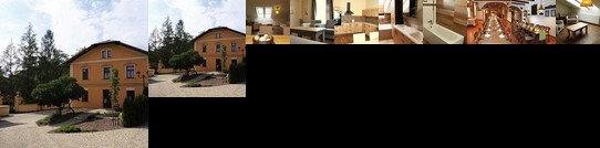 Zamecky Pivovar Albert