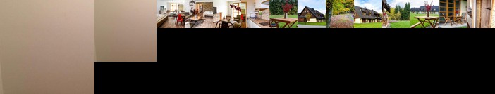 Apartment Ricky V Orlickych Horach