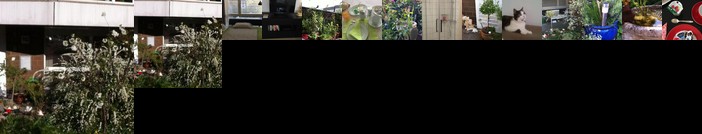 Rosie's B&B Homestay