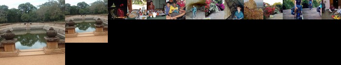 Rockvilla homestay and BNB