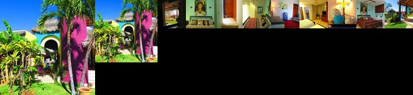 Hotel Boutique Los Cabos Paradise Oasis