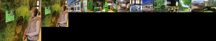 Apartman - Dum Ceskeho Svycarska