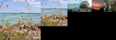 Jardim dos Embondeiros