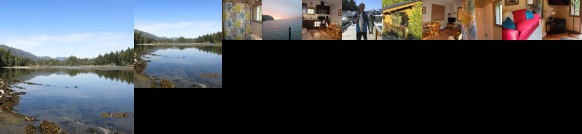 A Shack In The Woods