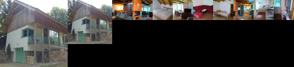 Holiday Home Dolni Dvoriste