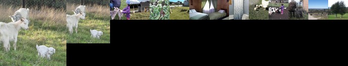 Cabanas los Colihues 2