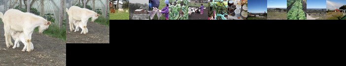 Cabanas los Colihues