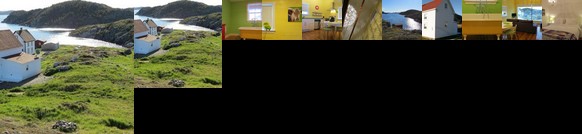 The Old Salt Box Co - Daisy's Place