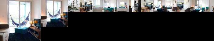 Sea Front Front Native Forest