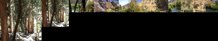 Cabanas El Albaricoque Cochiguaz