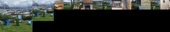 The Lucky Dog Bed and Breakfast