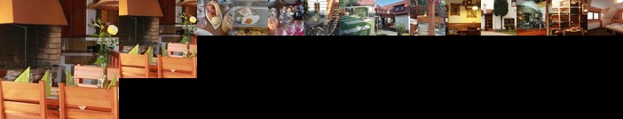 Hostinec a penzion Dolni Dvur