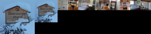 Ferienwohnung Steinberger Bischofshofen