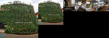Vertical Garden Home Stay