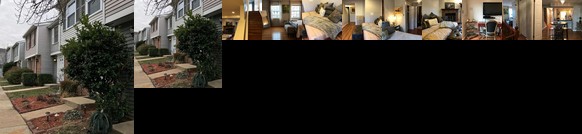 Modern Arlington Home