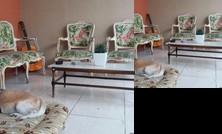 Casa Butanta USP Hostel/Guest House