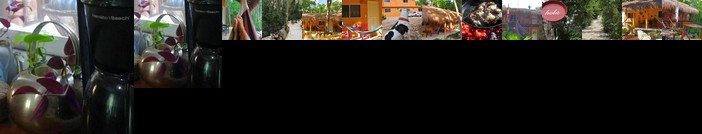 Casa Tzalam Tulum selva