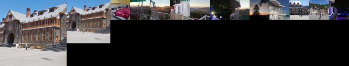 Dolphin Cottage Home Stay