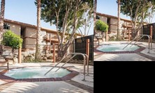 Sunshine Suites at Midway