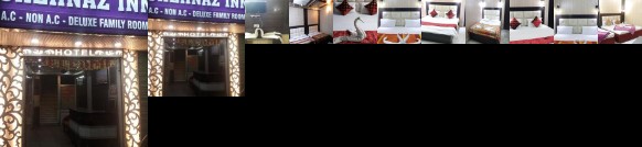Hotel Shehnaz Inn