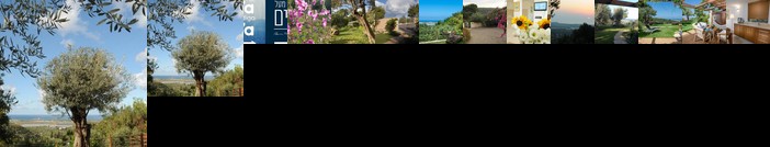 Above the Sea Ein Hod