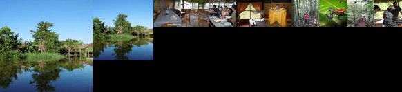 Amazon Antares Lodge