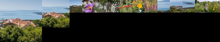 Seaview Apartment Vidovici