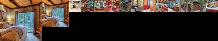 Cabin in the Pines Idlewild