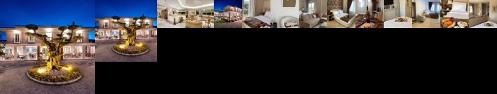 B Equine Range Hotel