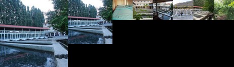 Alanlar Alabalik ve Otel