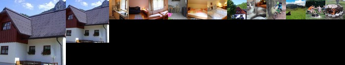 Ferienhaus Julia Admont