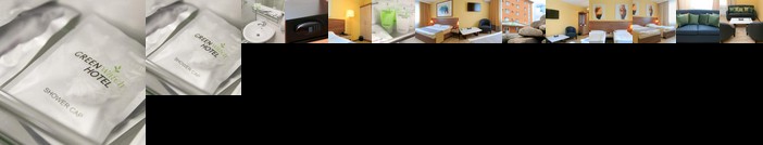 Green Which Tourist Borovoye