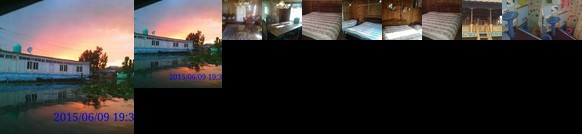 Houseboat Lily Of The Lake